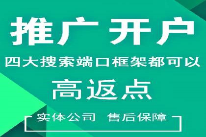 SEM广告案例：数据分析驱动营销决策